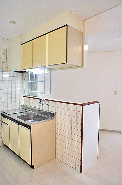 Kitchen. Counter Kitchen