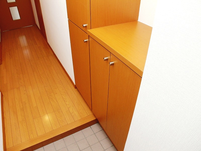 Entrance. Of large capacity shoes BOX