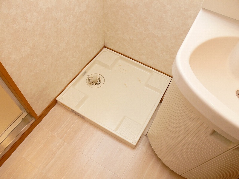 Washroom. Washing machine is undressing house. 