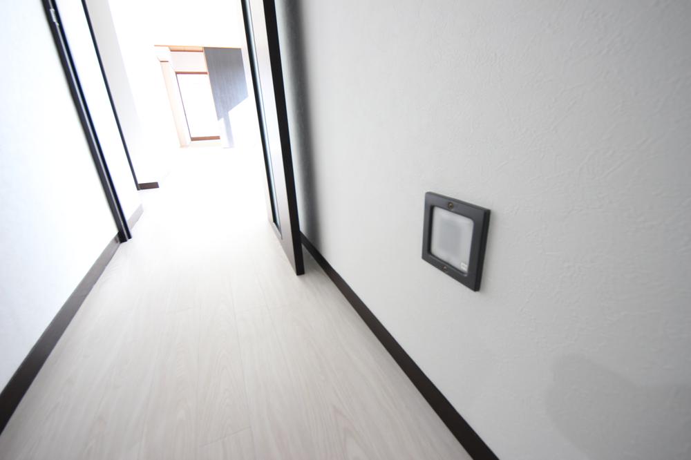 Other. Downlight