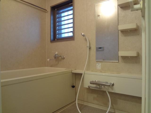 Bathroom. Indoor (11 May 2013) Shooting