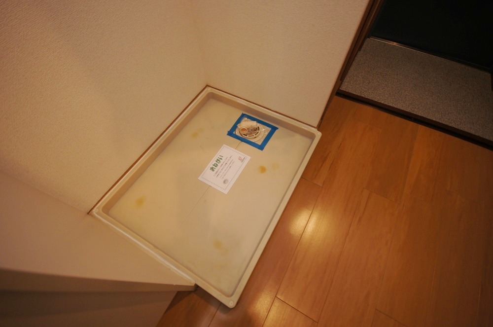 Other room space. Indoor Laundry Storage!