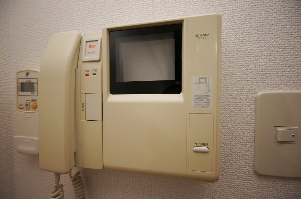 Security. TV monitor interphone!