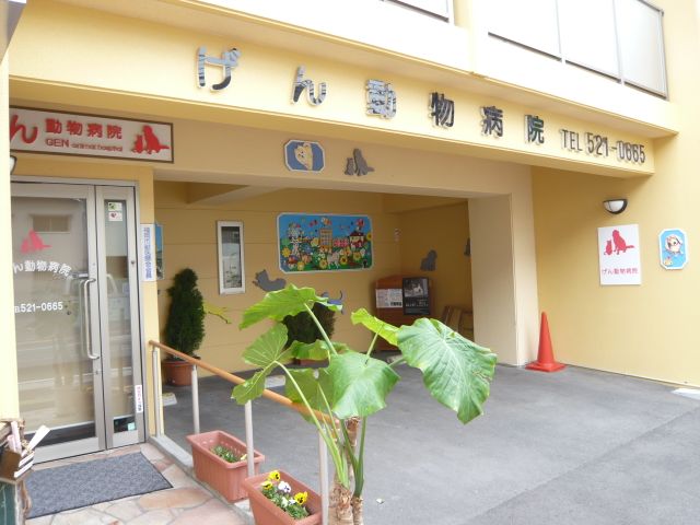 Hospital. 420m animal to the hospital (hospital)