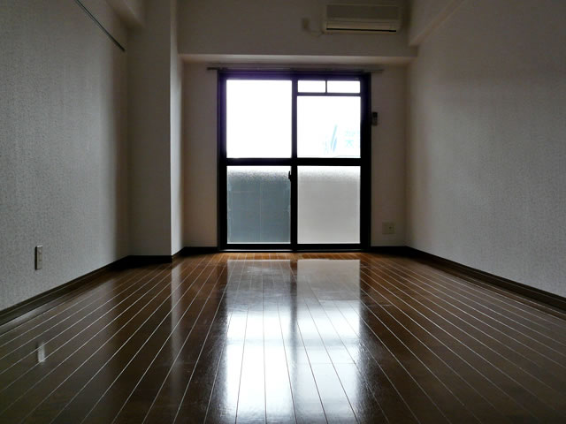 Living and room. Indoor 3