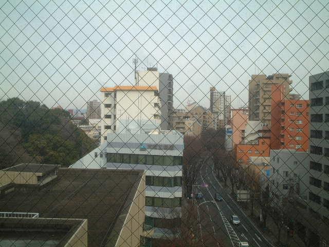 View photos from the dwelling unit. View of zelkova street