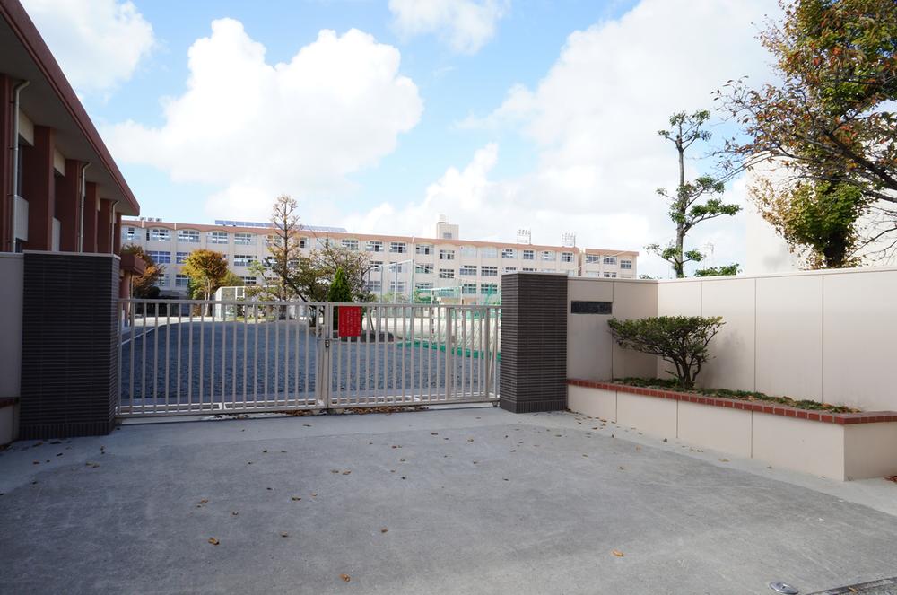 Junior high school. Codonopsis until junior high school 1360m