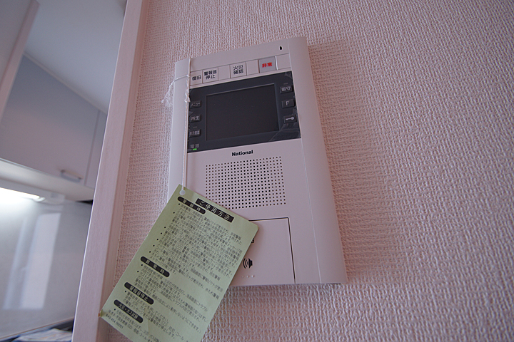 Security. Monitor with intercom