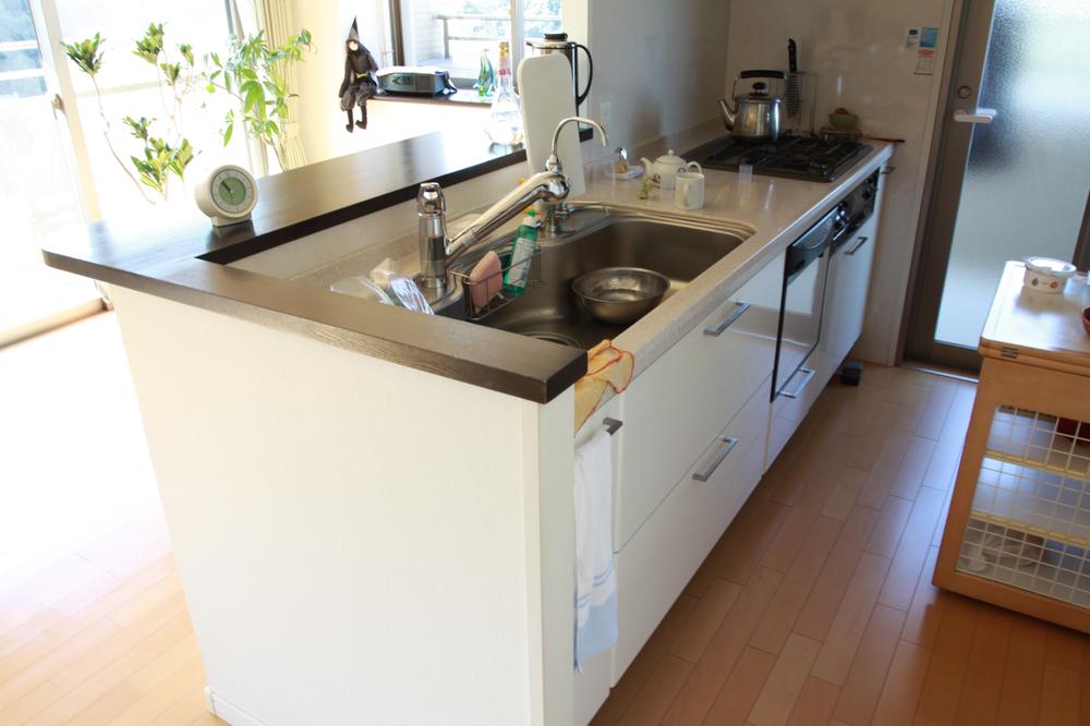 Kitchen. Epidemic of counter kitchen Also safe storage space in the kitchen