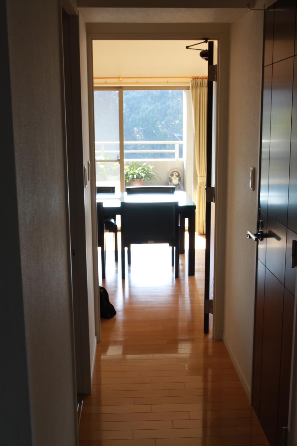 Living. South-facing living room is bright enough good per yang