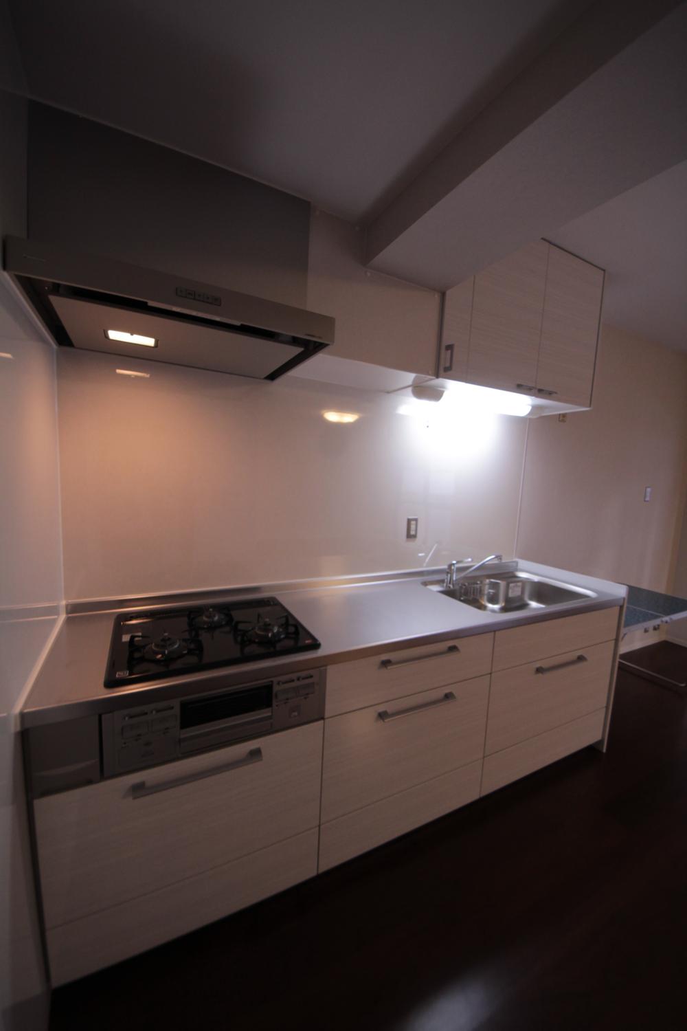 Kitchen. Local (September 2013) Shooting