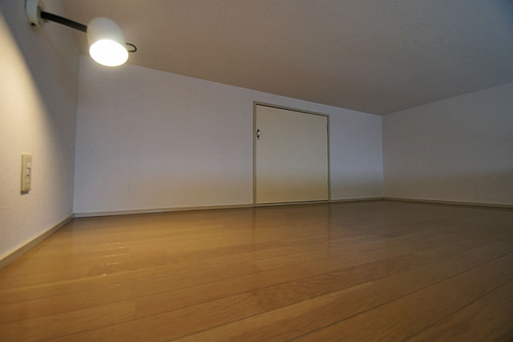 Other room space. Loft (with storage)