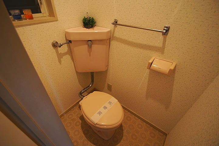 Toilet. Toilet (with window)