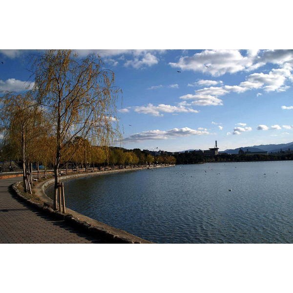 park. 752m to Ohori Park (park)