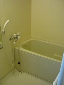 Bath. Firm also checks the bathroom