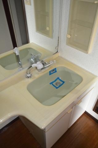 Wash basin, toilet. Vanity shower
