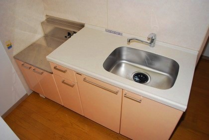 Kitchen. Gas stove brought type ^^