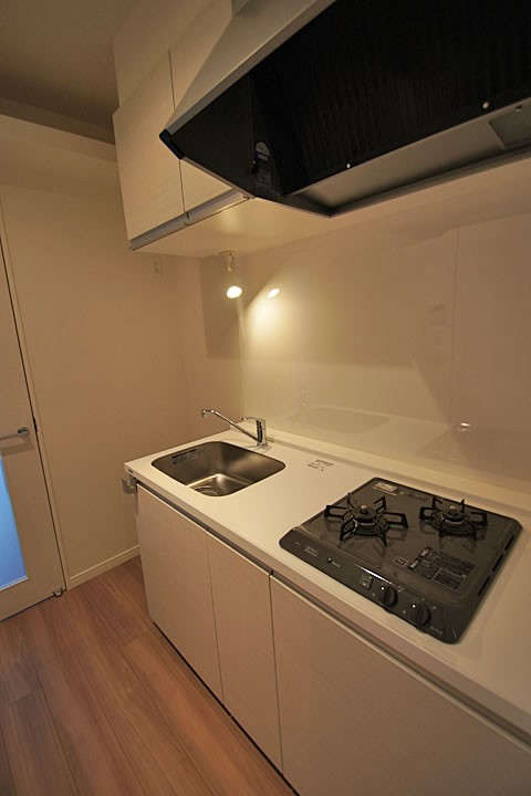 Kitchen. Kitchen (with 2 lot gas stoves)