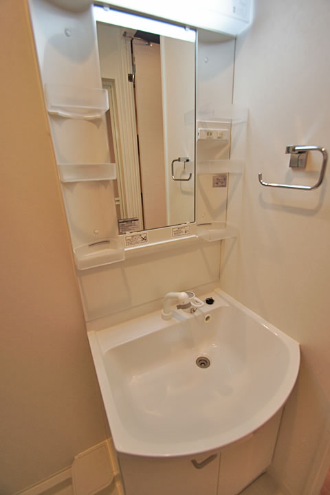 Washroom. Shampoo dresser