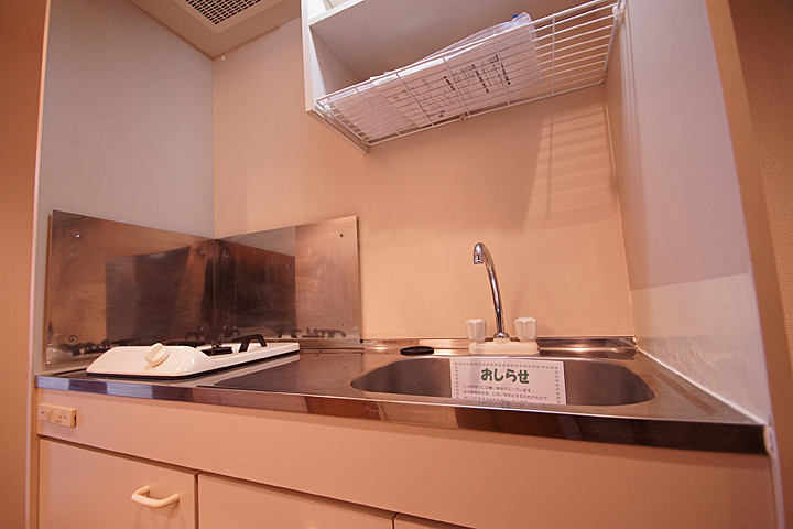 Kitchen. Gas stove kitchen