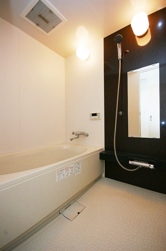 Toilet. Bidet with toilet