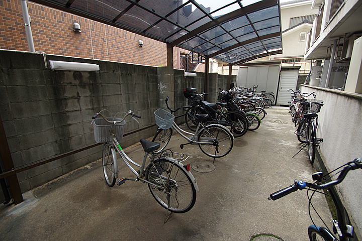 Parking lot. Bicycle-parking space