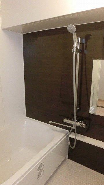 Bathroom. Indoor (10 May 2013) Shooting