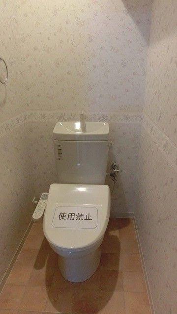 Toilet. Indoor (10 May 2013) Shooting