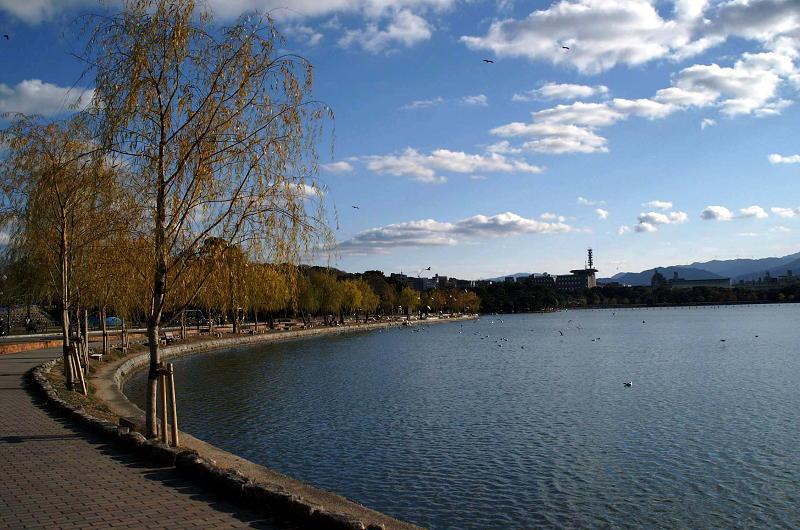 park. 240m will go to feel free to walk or jog to Ohori Park