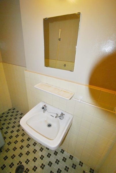 Washroom. Mirror washbasin