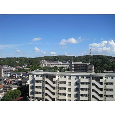 View photos from the dwelling unit. Good view