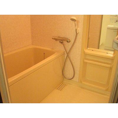 Bathroom. Leisurely relaxing bathroom