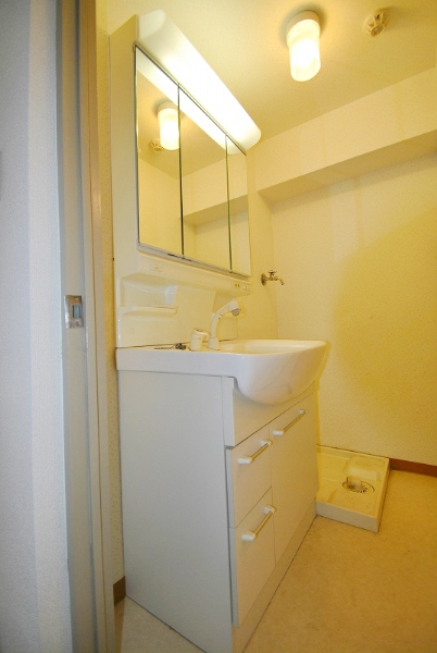 Washroom. Independent wash basin with a Shandore