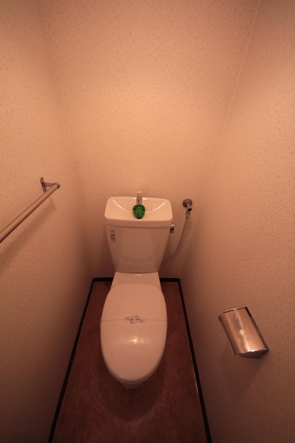 Toilet. Indoor (September 2013) Shooting