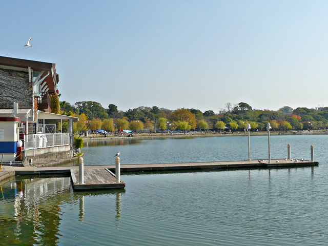 park. 730m to Ohori Park (park)