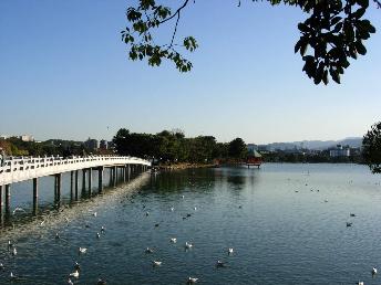 park. 230m to Ohori Park (park)