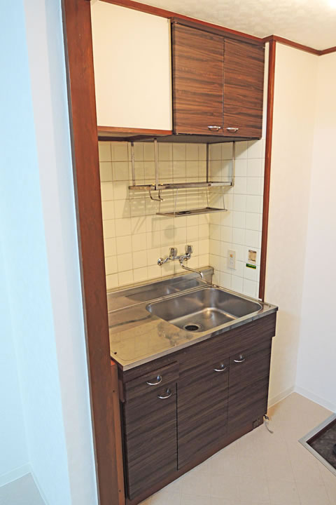 Kitchen. Kitchen (gas stove bring)