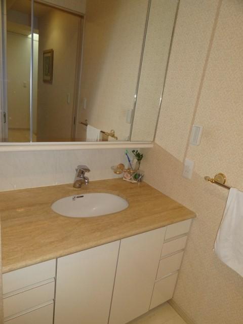 Wash basin, toilet. Bathroom vanity