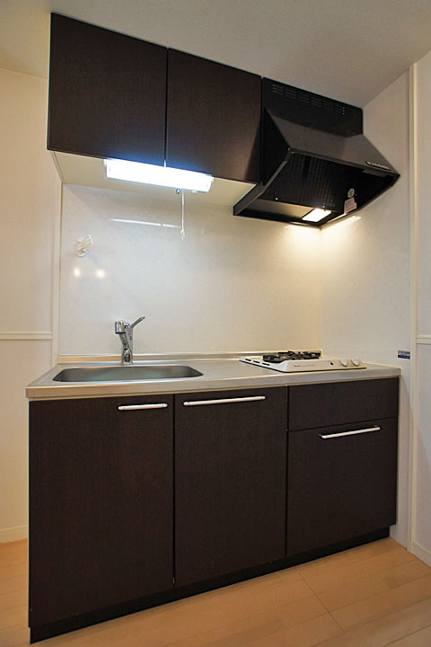 Kitchen. System Kitchen (2 lot gas stoves)