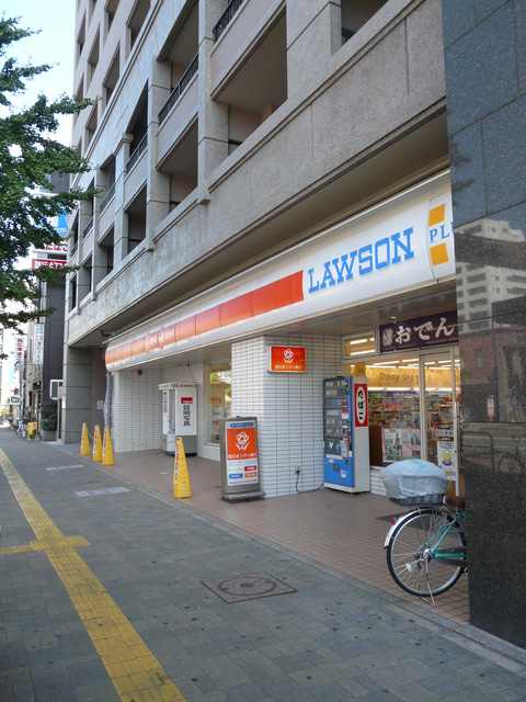 Convenience store. 300m until Lawson (convenience store)