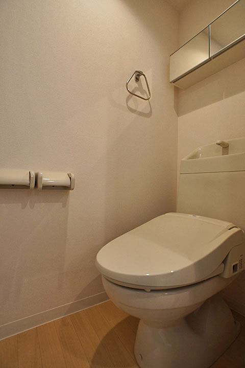 Toilet. Toilet (Washlet)