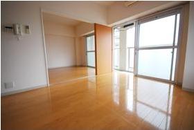 Living and room. Living