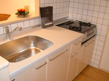 Kitchen. Counter Kitchen