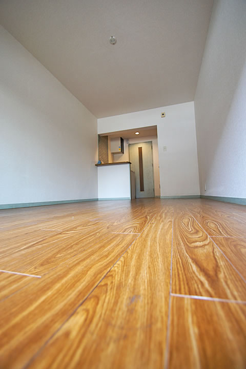 Living and room. Interior