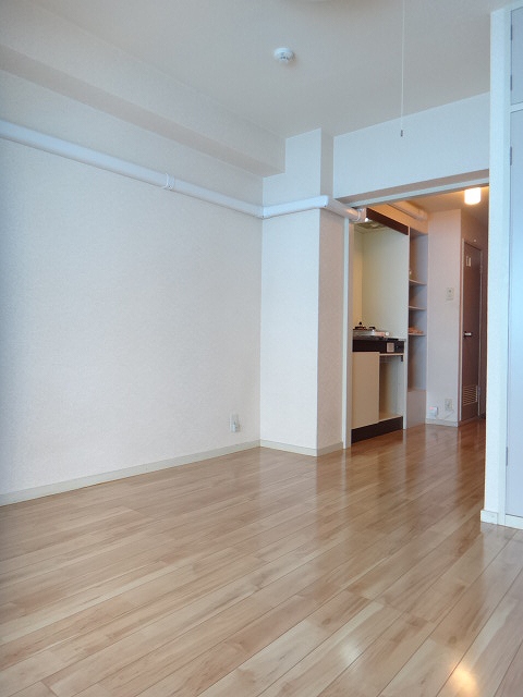 Living and room. Flooring shiny ☆