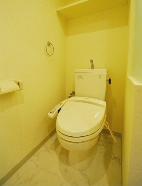Toilet. Bidet with toilet