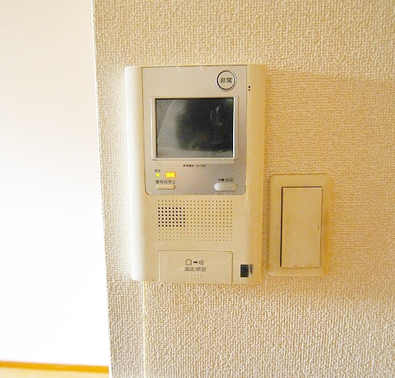 Security. TV monitor phone