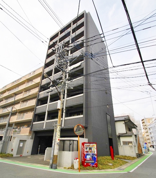 Building appearance. Appearance Mansion Type