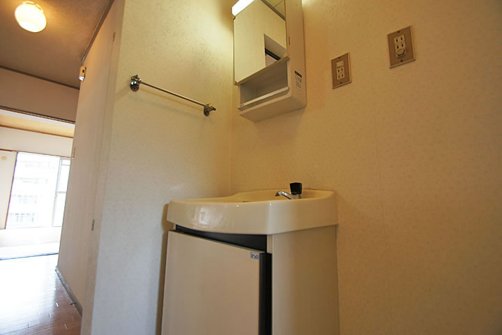 Washroom. Bathroom vanity