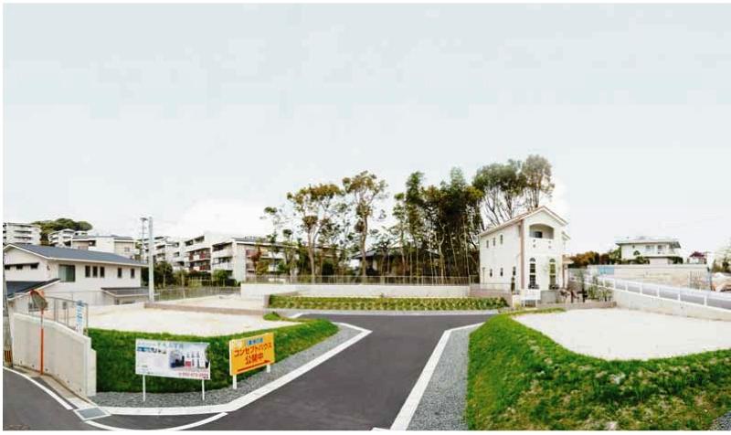 Local land photo. Bright and open-minded subdivision.